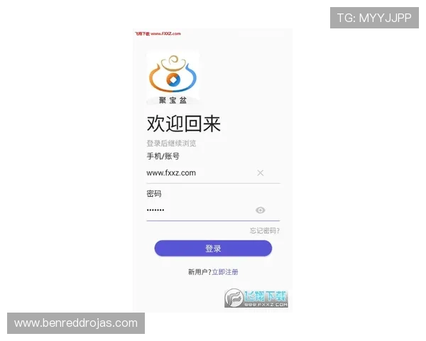 百家官网注册入口常见错误及解决方案,确保注册过程顺利无阻